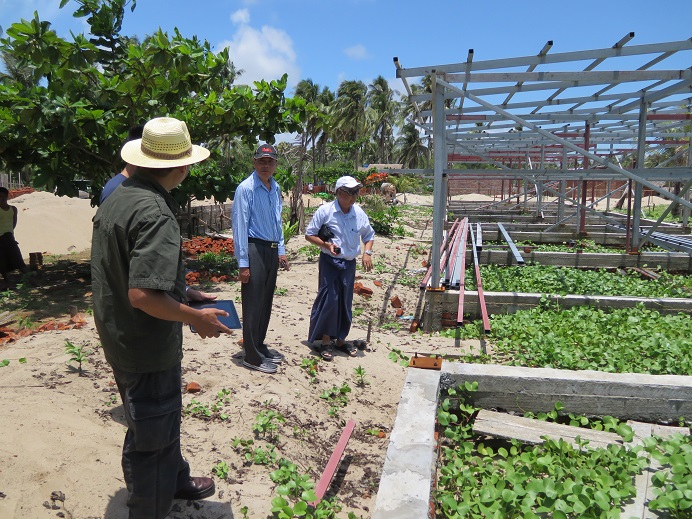 Ngwe Saung Project (2)