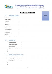 Blank CV Form Sample